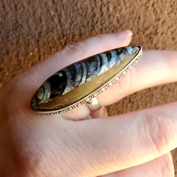 New Unique Orthoceras Fossil 925 Silver Statement Ring. - Picture 4 of 10